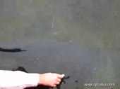 480x360