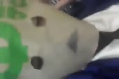 540x360