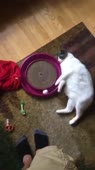360x640