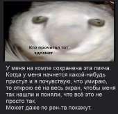 494x477