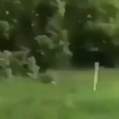 360x360