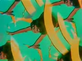 320x240