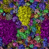 720x720