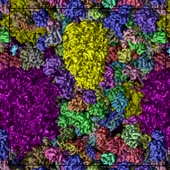 720x720