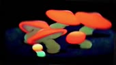 640x360
