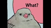 460x258