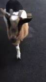 360x640