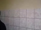 320x240