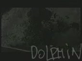 320x240