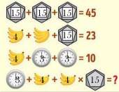 604x466