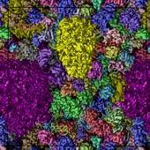 720x720