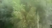 400x220