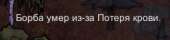 248x59