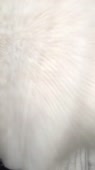 540x960