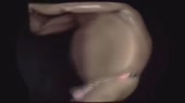 640x360