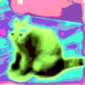 223x223