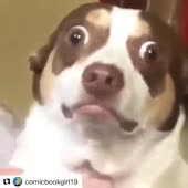 360x360