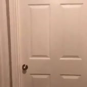 360x360