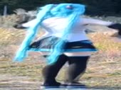 320x240