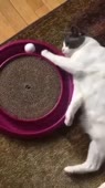 360x640