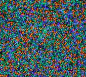 800x728