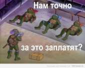 590x472