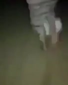 292x360