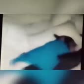 360x360
