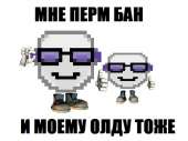 502x376