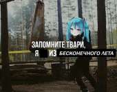 547x433