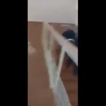 360x360