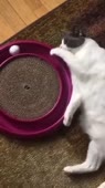 360x640
