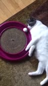 360x640