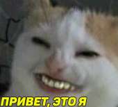 891x811