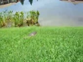 480x360