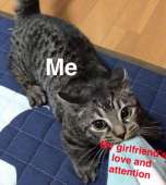 540x601