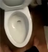 290x318