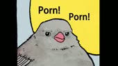 460x258