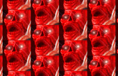 800x522