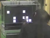 320x240