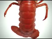 480x360