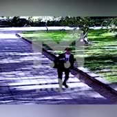 480x480