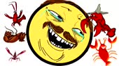640x360