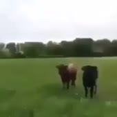 360x360