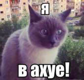 400x379