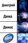 405x604