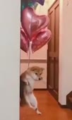360x600