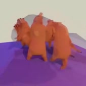 720x720