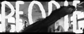 1303x540