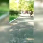 360x360